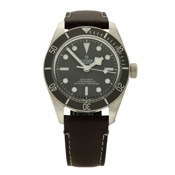 Tudor Black Bay 58 M79010SG-0001